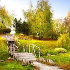 Carmina Villarroel avatar